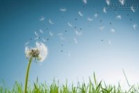 Học được tha thứ là phúc khí lớn nhất của đời người !