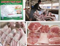 Thực phẩm bẩn là thủ phạm số một gây bệnh ung thư