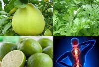 Bài thuốc cứu người gai cột sống và thoát vị đĩa đệm khỏi đau đớn, 20 năm sau mới phải làm lại