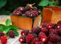 Làm đẹp da cuối tuần với các mẹo hay từ dân gian
