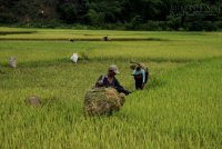 Pù Luông – du lịch giá rẻ, nhiều thử thách