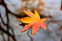 Tha thứ cho người khác, hóa ra là đang cởi trói cho chính mình