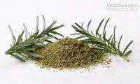 Phát hiện loại rau thơm giúp người thọ trăm tuổi