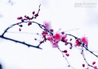 Trên đời này, kỳ tích chỉ thuộc về những ai không để bản thân mình gục ngã