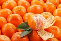 Những thực phẩm tuyệt đối không được ăn khi đói