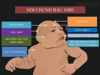 Virus Zika đã hoành hành lịch sử nhân loại từ những năm 1947