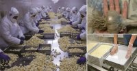 Cảnh báo: Tỏi của Trung Quốc chứa rất nhiều chất độc hại gây chết người
