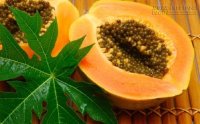 Bài thuốc chữa ung thư vú từ cây đu đủ