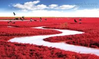 Ngỡ ngàng với những thiên đường thật sự có trên Trái Đất