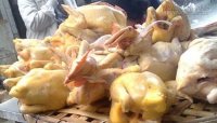 Rùng mình những món ăn thường ngày bị phát hiện có chất cấm vàng ô