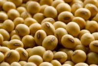 Cảnh báo: 7 thực phẩm gây dị ứng cần tránh ngay