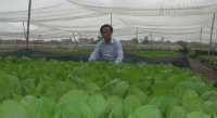 Làm như GS Nguyễn Lân Dũng, bạn sẽ không phải ăn thực phẩm bẩn