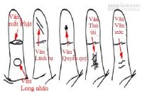 Đường vân đặc biệt trên ngón tay cái bật mí điều gì về bạn?