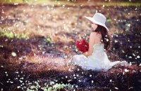 Rủ nhau lên Tây Nguyên ngắm bướm sâu muồng rợp trời tháng 4