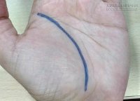 Đường chỉ tay bộc lộ tình duyên và tiền tài của bạn
