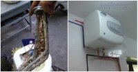 Đừng để đó là lần tắm cuối cùng chỉ vì không tắt máy nóng lạnh