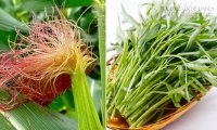 Rau muống và râu ngô chữa tiểu đường