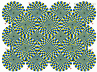 Bức ảnh này có thể tiết lộ mức độ Stress của bạn