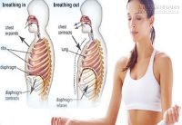 Chỉ tập thở sâu 10 phút mỗi ngày giúp phổi sạch và sống lâu hơn cả uống thuốc bổ đắt tiền