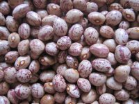Đừng bao giờ bỏ qua 10 thực phẩm cực tốt này khi trong thai kỳ