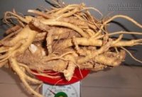 Vì sao đinh lăng lâu năm được nhiều người săn lùng?