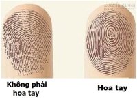 Hoa tay nói lên 100% tính cách, nếu không tin thì xem thử