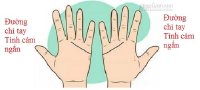 Đối chiếu đường chỉ tay Tình cảm để biết hai bạn có phải là một cặp trời sinh (P2)