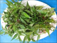 Với loại rau thần thánh này lỗ chân lông se khít, da mịn như trứng gà bóc