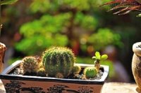8 lỗi cấm kỵ phong thủy trong phòng khách xua đuổi quý nhân phù trợ