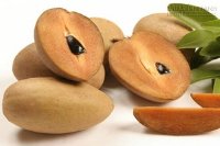 Hồng xiêm đánh tan sỏi thận không cần mổ, không tái phát