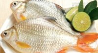 Mẹo giữ cá tươi lâu, nấu không tanh ai cũng nên biết