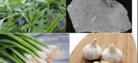 Bài thuốc tiên chữa ung thu vú theo dân gian dễ làm