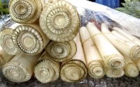 Bất ngờ 7 công dụng tuyệt vời của thân cây chuối với sức khỏe
