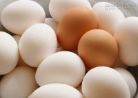 Những hiểu lầm tai hại về trứng gà hàng triệu người dân mắc phải