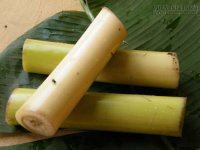 Thứ chúng ta vứt đi lại là thần dược chữa sỏi thận, tiểu đường