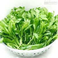 Bạn sẽ không ngờ công dụng chữa bệnh hiệu quả khi trồng loại rau này trong nhà