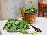 Lưu truyền 5 bài thuốc chữa sỏi thận từ nguyên liệu tự nhiên cực kỳ hiệu quả