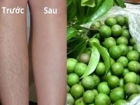 Mẹo triệt nhanh lông chân tay chỉ với nước lá