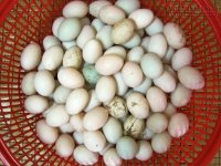 Những thực phẩm và thuốc tuyệt đối không dùng với trứng
