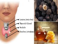 Óc chó ngâm mật ong là bài thuốc trị rối loạn tuyến giáp tốt hơn tất cả