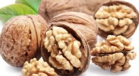 Tại sao ăn quả óc chó lại rất tốt cho não?