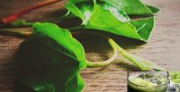 Cách giải nhiệt nhanh chóng bằng rau diếp cá ít người biết