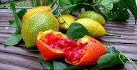 Loại quả chứa nhiều chất chống ung thư có nhiều ở Việt Nam