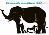 Có bao nhiêu con vật trong hình?