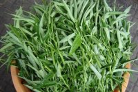 5 điều cấm kỵ bà nội trợ nhất định phải nhớ khi ăn rau muống