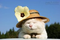 Top 4 con giáp có vận thế gia đình tốt nhất trong tháng 5