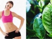 Đập tan mỡ bụng chỉ với một cái búng tay