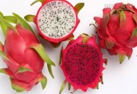 Bài thuốc chữa bệnh quý hơn vàng từ thanh long