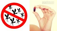 Chỉ cần bổ sung loại vitamin này, muỗi sẽ tránh xa bạn cả mùa hè