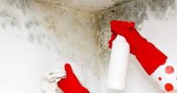 Loại bỏ hoàn toàn nấm mốc và mùi hôi, hiệu quả tức thì với tuyệt chiêu này